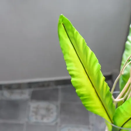 Betty's Santorini * Καρτεράδος