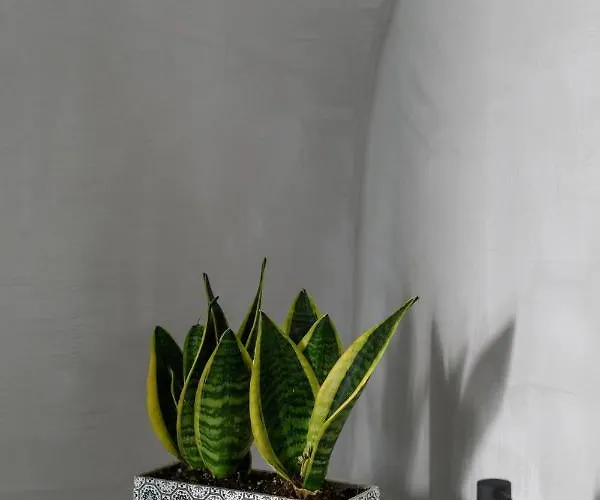 بيت للعطل Betty's Santorini *