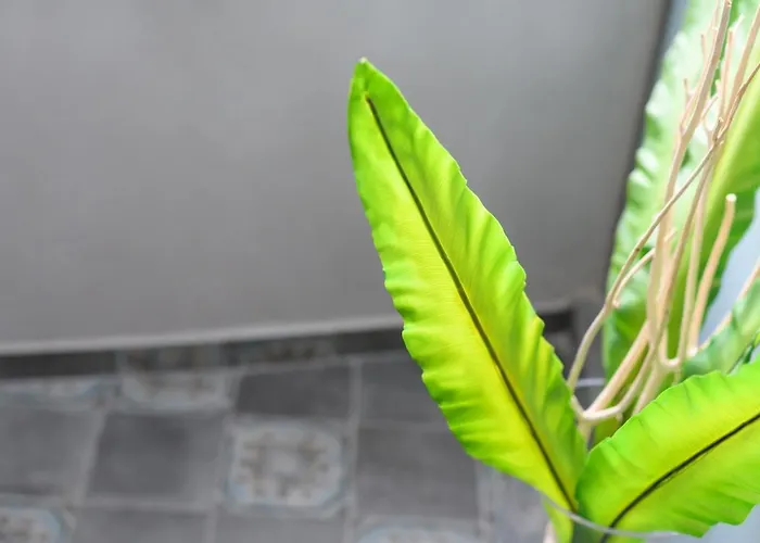 Betty's Santorini * كارتيرادوس